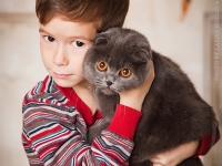 детская фотосессия с котом