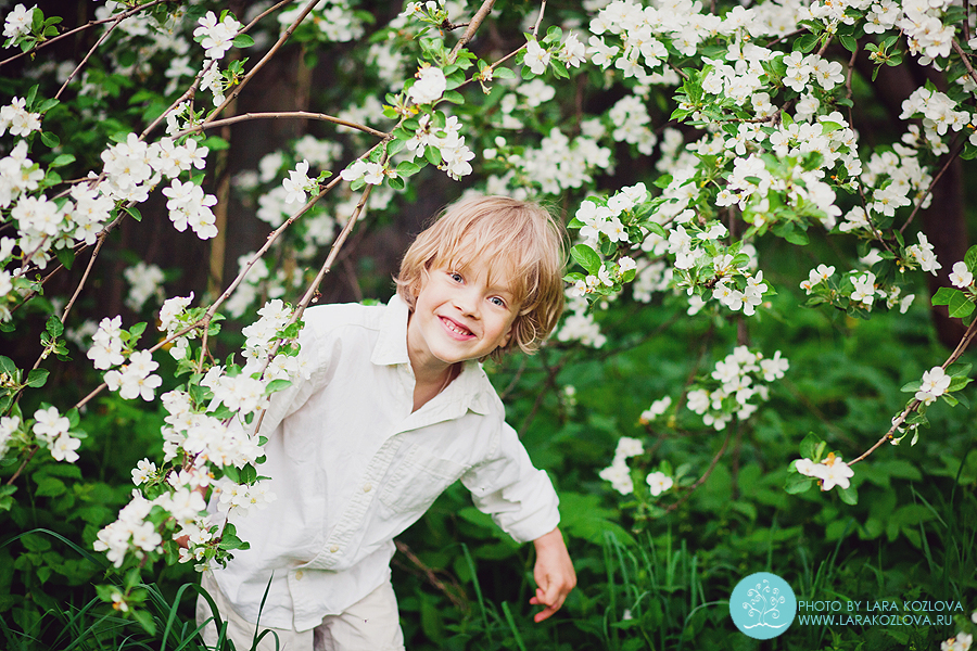 детская фотосессия в цветущем яблоневом саду